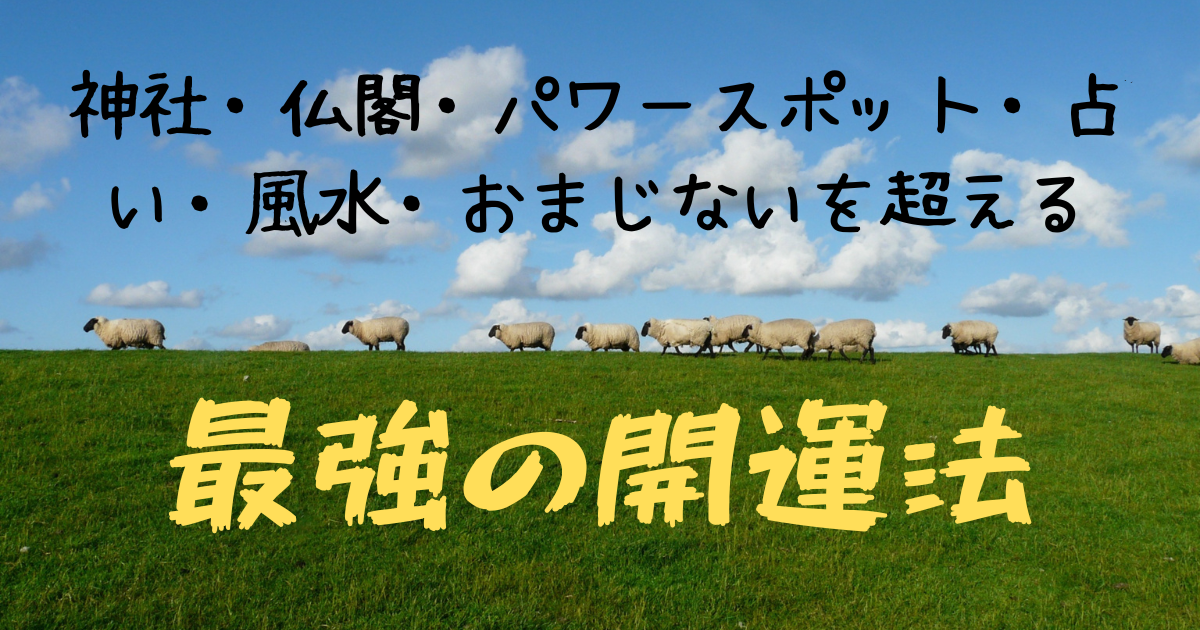 大空に下で羊が草原を歩く